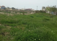 Masazır qəsəbəsi, Akim Abbasov küçəsi