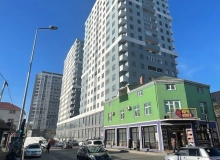 Tofig Mammadov 1 & 3