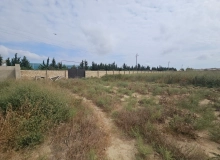 Satılır Məhəmmədli qəsəbəsi