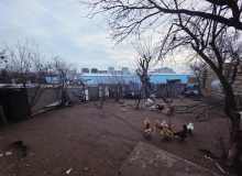 7-ci mikrorayon