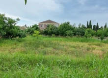 Buzovna