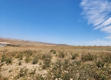 Masazır