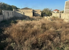 Buzovna