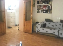 Moskva pros