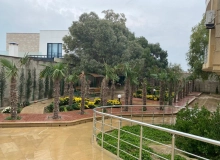 Buzovna