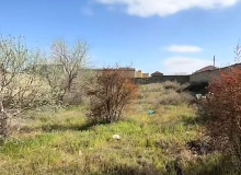 Novxanı