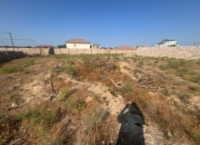 Qala