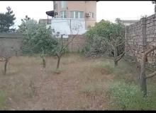 Novxanı