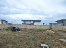 Pirşağı qəs, Eston bağları, 42-ci dalan