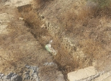 Zərifə Əliyeva küçəsi