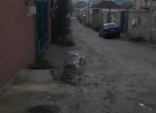 Hüseyn Dəmirli küçəsi