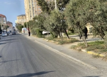 R.Dünyamalıyev küçəsi