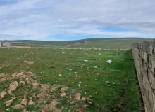 Satılır Novxanı