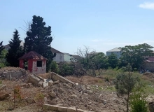 Şöhrət küçəsi