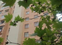 Yeni Günəşli Samir Cəfərov küçəsi