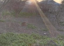 Bakı şəhəri, Xətai rayonu