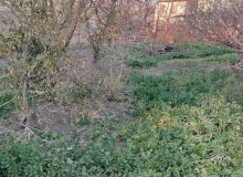 Bakı şəhəri, Xətai rayonu