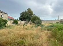 Satılır Saray qəsəbəsi