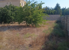 Satılır Buzovna
