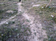 Maştağa