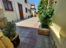 Albalı bağ massivi