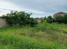 Buzovna