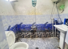 Ağasadıq Gəraybəyli küçəsi