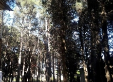 Şüvəlan