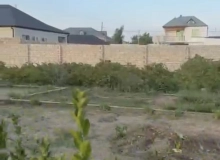 Buzovna