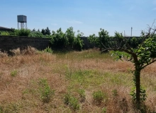 Satılır Buzovna