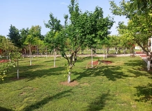 Şüvəlan