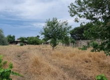 Buzovna