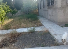 Heydar Əliyev pr., Novxanı bağlar massivi