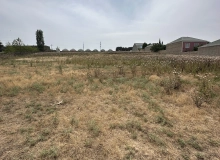 Suraxanı