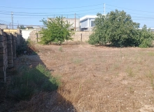 Buzovna