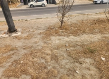 Masazır qəsəbəsi, Ə.Vahid küçəsi
