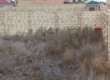 Tofiq İsmayılov küçəsi