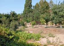 Buzovna qəsəbəsi