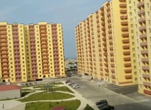 Saray