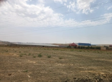 Zərifə Əliyeva küçəsi
