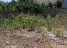 Xəzər rayonu, Binə Bolluqda