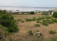 Novxanı