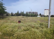 Saray qəsəbəsi, Yol kənarı küçə