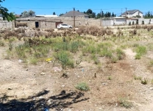 Albalılıq qəsəbəsi Albalılıq qəsəbəsi
