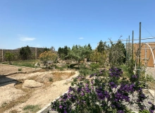 Satılır Maştağa-Buzovna yolu