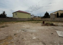 Şağan