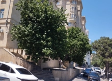 N.Qurbanov küçəsi