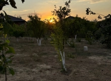 Satılır Saray qəsəbəsi