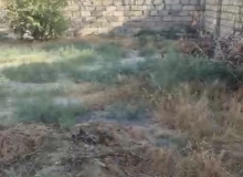 Satılır Masazır qəsəbəsi