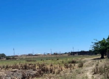 Albalılıq